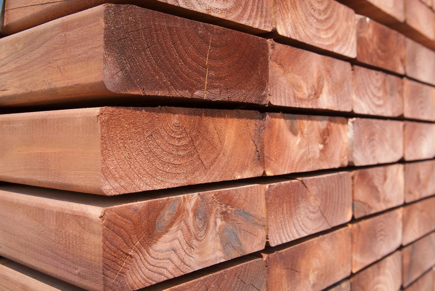 Western Red Cedar